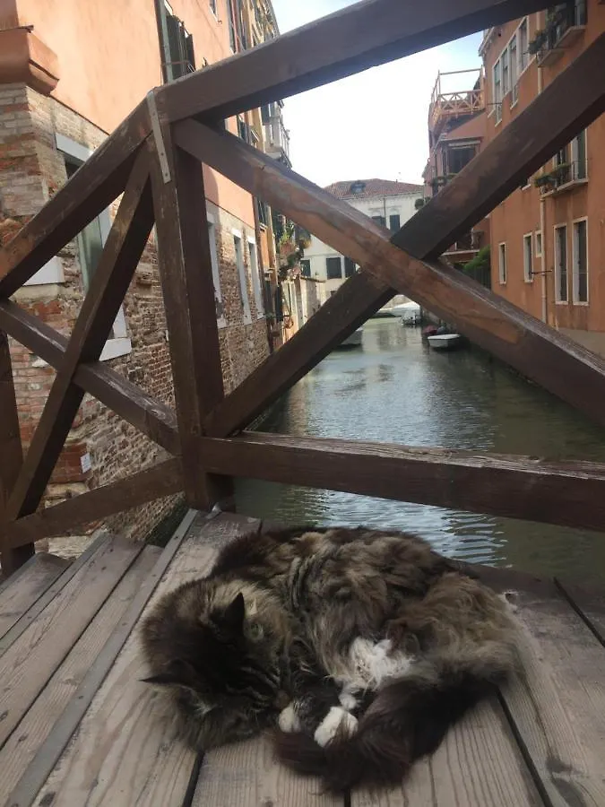 Апартаменты Mori 3, In Centro Storico Di Venezia Италия